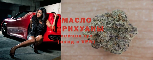 гидра Ельня