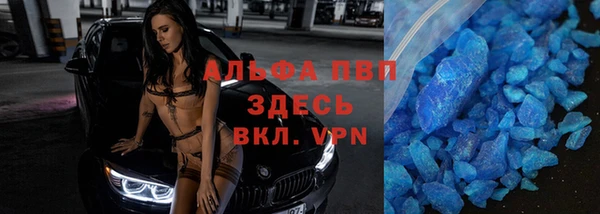 гидра Ельня