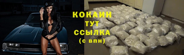 гидра Ельня
