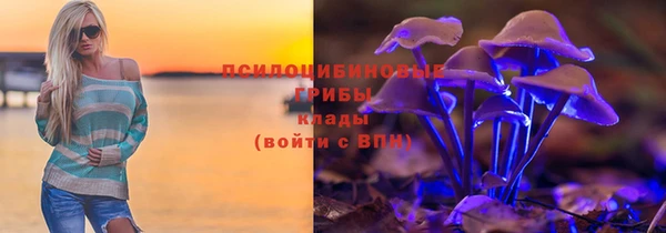 мдпв Заволжье
