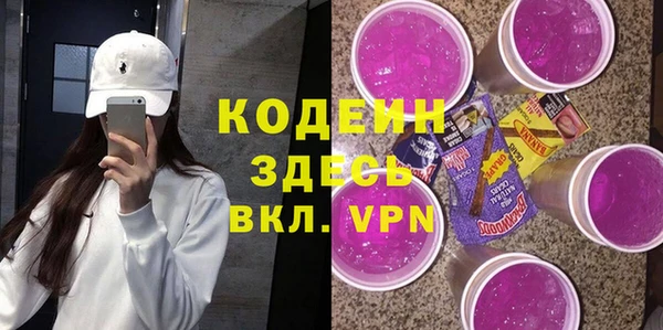 гидра Ельня