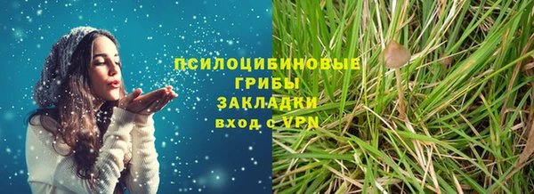 гидра Ельня