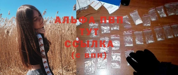 гидра Ельня