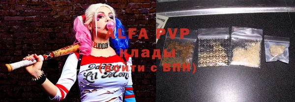 гидра Ельня