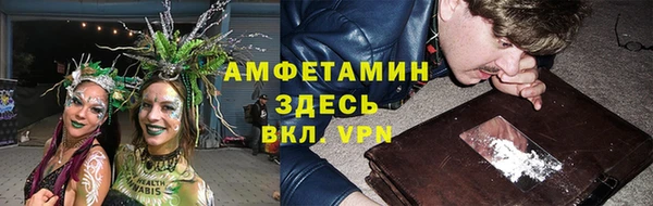 гидра Ельня